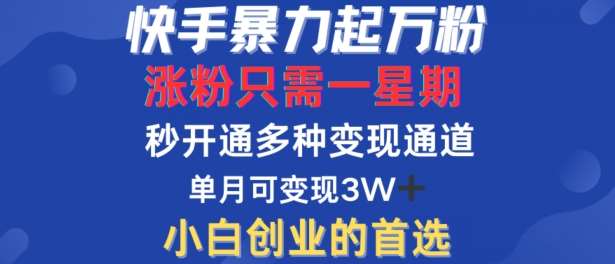 快手暴力起万粉，涨粉只需一星期，多种变现模式，直接秒开万合，单月变现过W【揭秘】-讯领网创