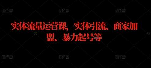 实体流量运营课，实体引流、商家加盟、暴力起号等-讯领网创