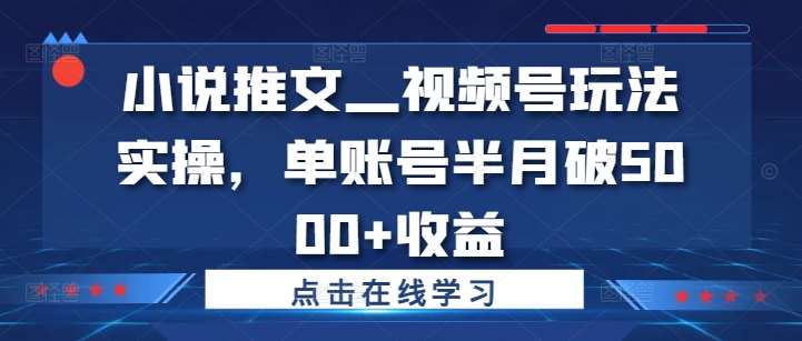 小说推文—视频号玩法实操，单账号半月破5000+收益-讯领网创