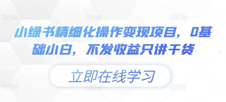 小绿书精细化操作变现项目，0基础小白，不发收益只讲干货-讯领网创