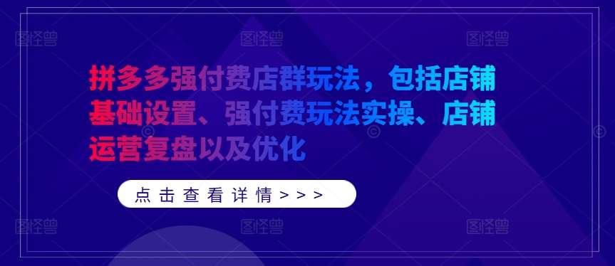 拼多多强付费店群玩法，包括店铺基础设置、强付费玩法实操、店铺运营复盘以及优化-讯领网创