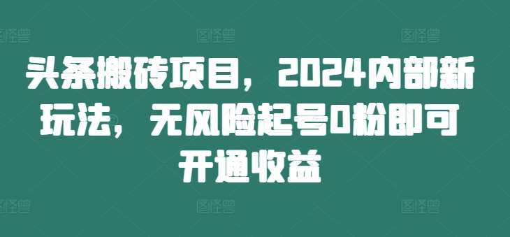 头条搬砖项目，2024内部新玩法，无风险起号0粉即可开通收益-讯领网创