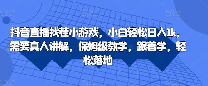 抖音直播找茬小游戏，小白轻松日入1k，需要真人讲解，保姆级教学，跟着学，轻松落地【揭秘】-讯领网创