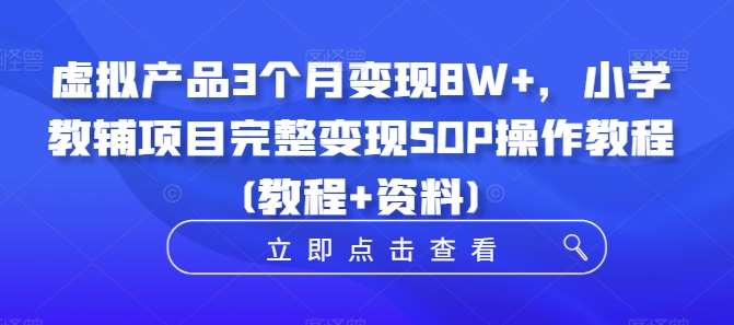 虚拟产品3个月变现8W+，小学教辅项目完整变现SOP操作教程(教程+资料)-讯领网创