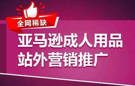 全网稀缺！亚马逊成人用品站外营销推广，​教你引爆站外流量，开启爆单模式-讯领网创