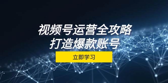 视频号运营全攻略，从定位到成交一站式学习，视频号核心秘诀，打造爆款账号-讯领网创