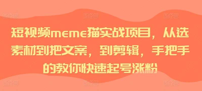 短视频meme猫实战项目，从选素材到把文案，到剪辑，手把手的教你快速起号涨粉-讯领网创