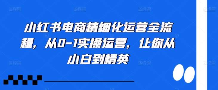 小红书电商精细化运营全流程，从0-1实操运营，让你从小白到精英-讯领网创