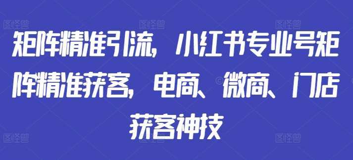 矩阵精准引流，小红书专业号矩阵精准获客，电商、微商、门店获客神技-讯领网创