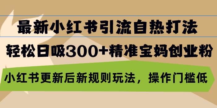 （13145期）最新小红书引流自热打法，轻松日吸300+精准宝妈创业粉，小红书更新后新…-讯领网创