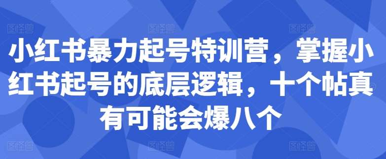 小红书暴力起号特训营，掌握小红书起号的底层逻辑，十个帖真有可能会爆八个-讯领网创