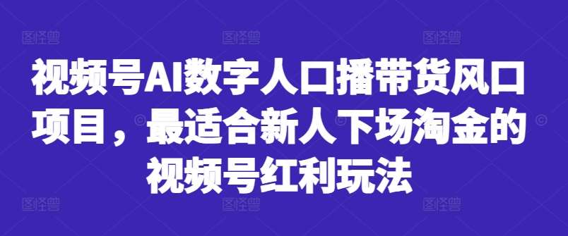 视频号AI数字人口播带货风口项目，最适合新人下场淘金的视频号红利玩法-讯领网创