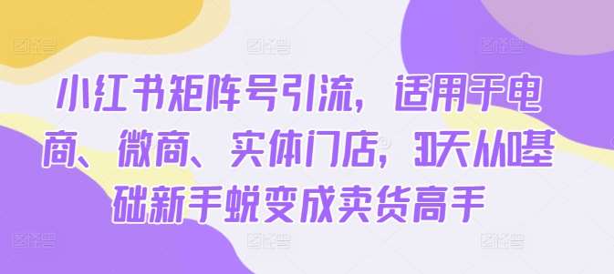 小红书矩阵号引流，适用于电商、微商、实体门店，30天从0基础新手蜕变成卖货高手-讯领网创