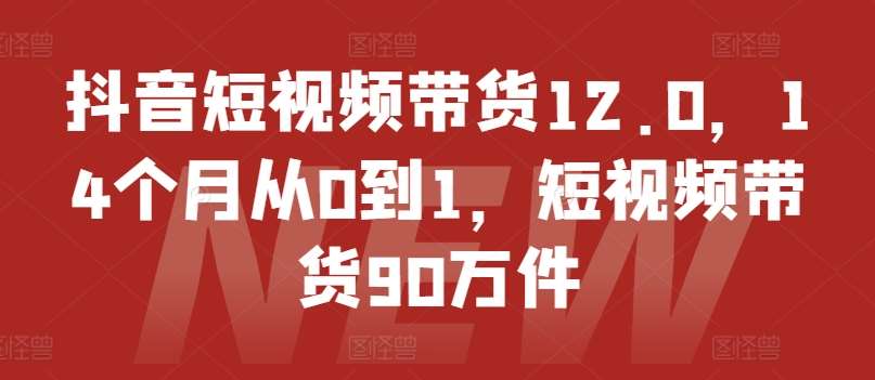 抖音短视频带货12.0，14个月从0到1，短视频带货90万件-讯领网创