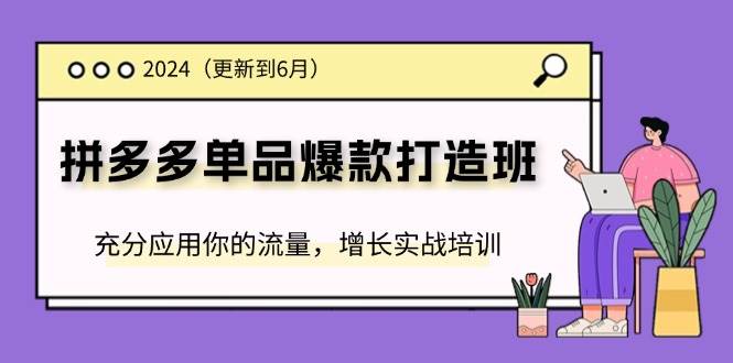 （11556期）2024拼多多-单品爆款打造班(更新6月)，充分应用你的流量，增长实战培训-讯领网创