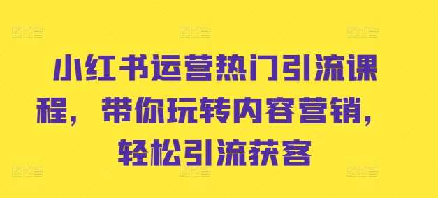 小红书运营热门引流课程，带你玩转内容营销，轻松引流获客-讯领网创