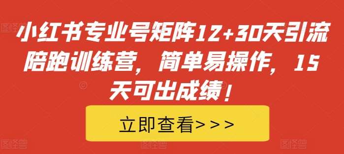 小红书专业号矩阵12+30天引流陪跑训练营，简单易操作，15天可出成绩!-讯领网创