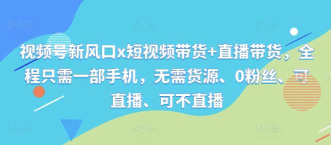 视频号新风口x短视频带货+直播带货，全程只需一部手机，无需货源、0粉丝、可直播、可不直播-讯领网创