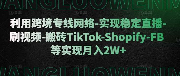 利用跨境专线网络-实现稳定直播-刷视频-搬砖TikTok-Shopify-FB等实现月入2W+【揭秘】-讯领网创