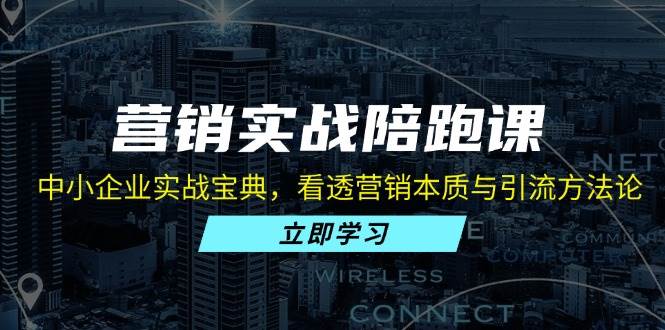 （13146期）营销实战陪跑课：中小企业实战宝典，看透营销本质与引流方法论-讯领网创