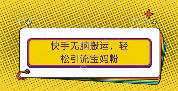 快手无脑搬运，轻松引流宝妈粉，纯小白轻松上手【揭秘】-讯领网创