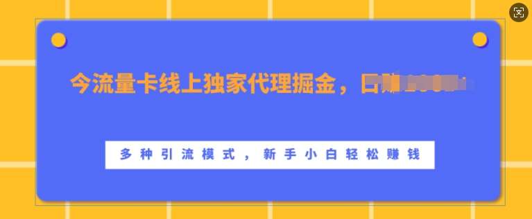 流量卡线上独家代理掘金，日入1k+ ，多种引流模式，新手小白轻松上手【揭秘】-讯领网创