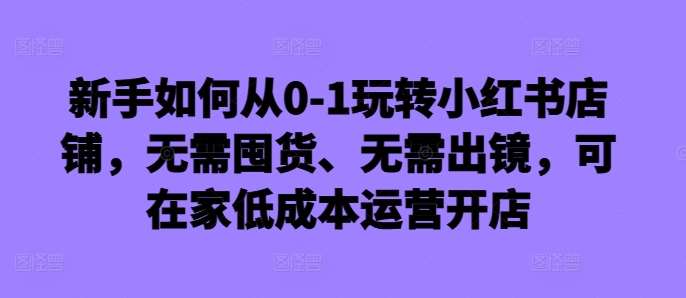 新手如何从0-1玩转小红书店铺，无需囤货、无需出镜，可在家低成本运营开店-讯领网创