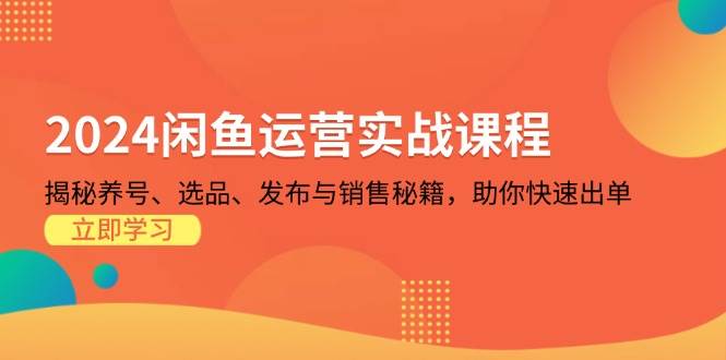 （13290期）2024闲鱼运营实战课程：揭秘养号、选品、发布与销售秘籍，助你快速出单-讯领网创