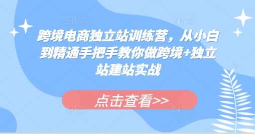 跨境电商独立站训练营，从小白到精通手把手教你做跨境+独立站建站实战-讯领网创