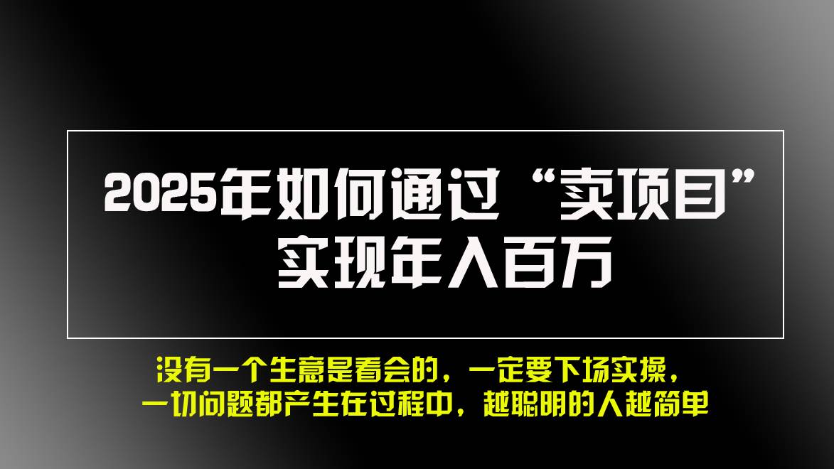 （13468期）2025年如何通过“卖项目”实现年入百万，做网赚必看！！-讯领网创