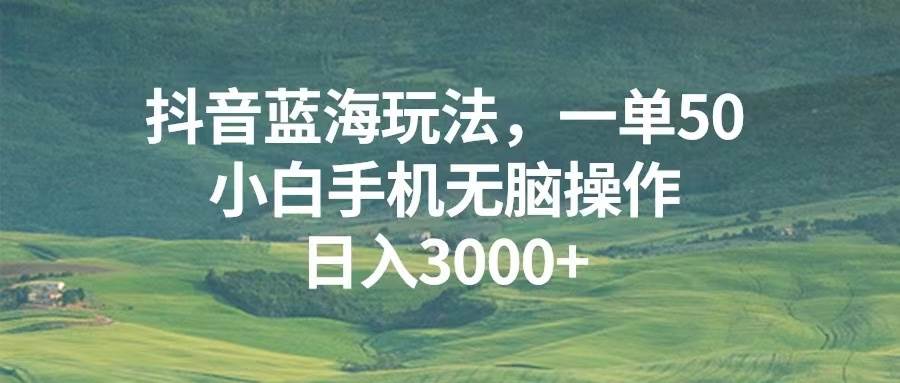 （13353期）抖音蓝海玩法，一单50，小白手机无脑操作，日入3000+-讯领网创