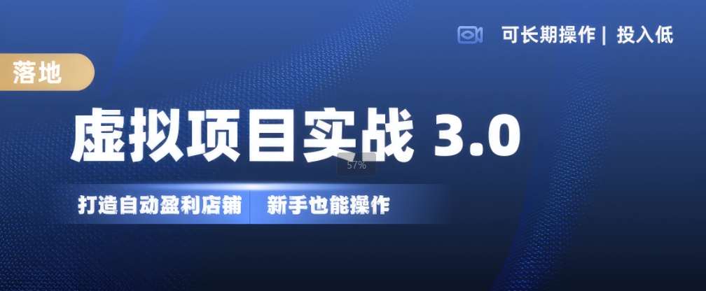 虚拟项目实战3.0，打造自动盈利店铺，可长期操作投入低，新手也能操作-讯领网创