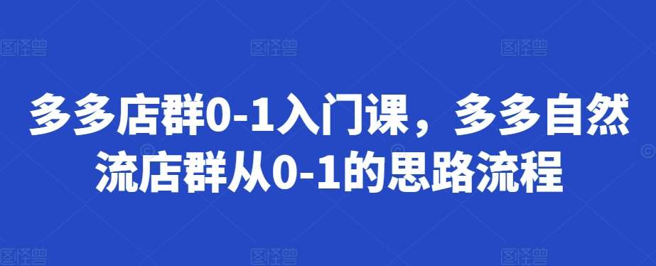 多多店群0-1入门课，多多自然流店群从0-1的思路流程-讯领网创