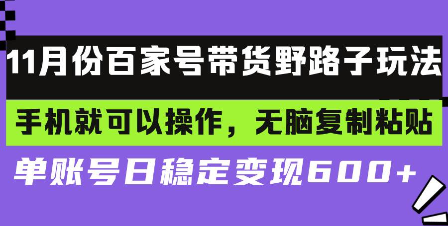 （13281期）百家号带货野路子玩法 手机就可以操作，无脑复制粘贴 单账号日稳定变现…-讯领网创