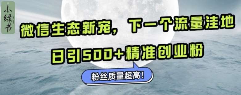 微信生态新宠小绿书：下一个流量洼地，日引500+精准创业粉，粉丝质量超高-讯领网创