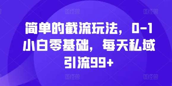 简单的截流玩法，0-1小白零基础，每天私域引流99+【揭秘】-讯领网创