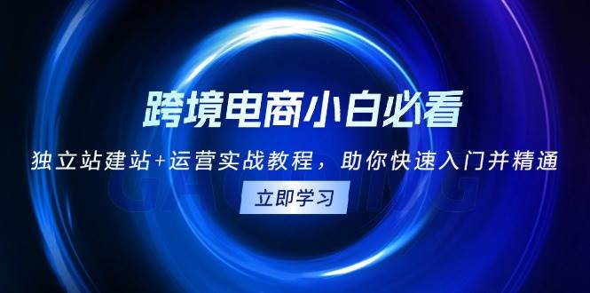 （13503期）跨境电商小白必看！独立站建站+运营实战教程，助你快速入门并精通-讯领网创