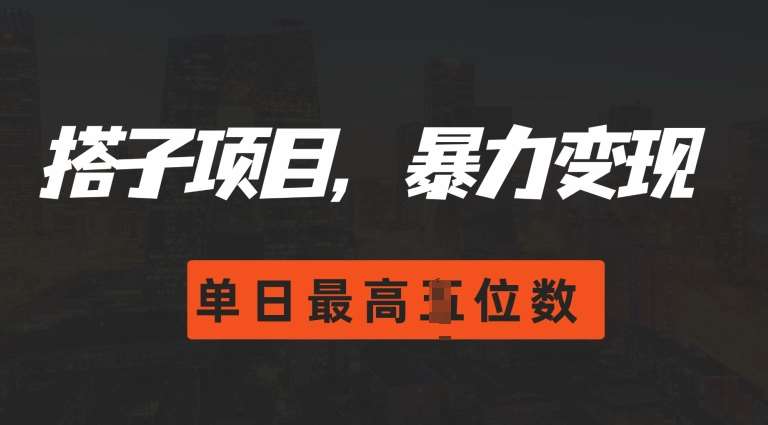 2024搭子玩法，0门槛，暴力变现，单日最高破四位数【揭秘】-讯领网创