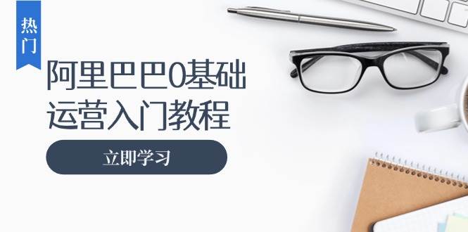 （13291期）阿里巴巴运营零基础入门教程：涵盖开店、运营、推广，快速成为电商高手-讯领网创