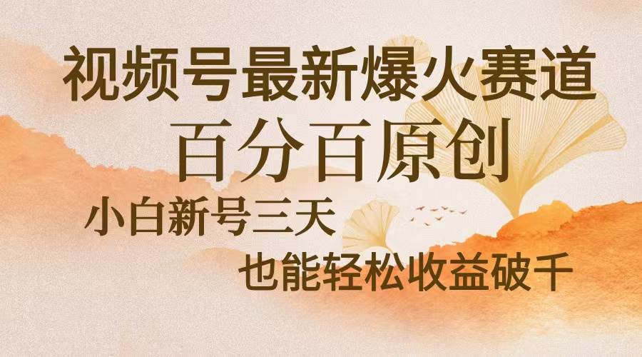 （13225期）视频号最新爆火赛道，中老年粉深信不疑，百分百原创，新号三天收益轻松…-讯领网创