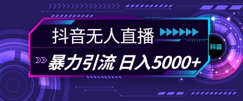 抖音快手视频号全平台通用无人直播引流法，利用图片模板和语音话术，暴力日引流100+创业粉【揭秘】-讯领网创