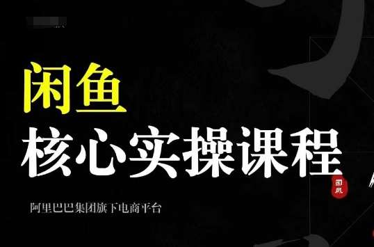 2024闲鱼核心实操课程，从养号、选品、发布、销售，教你做一个出单的闲鱼号-讯领网创