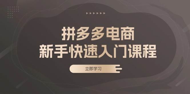 （13289期）拼多多电商新手快速入门课程：涵盖基础、实战与选款，助力小白轻松上手-讯领网创