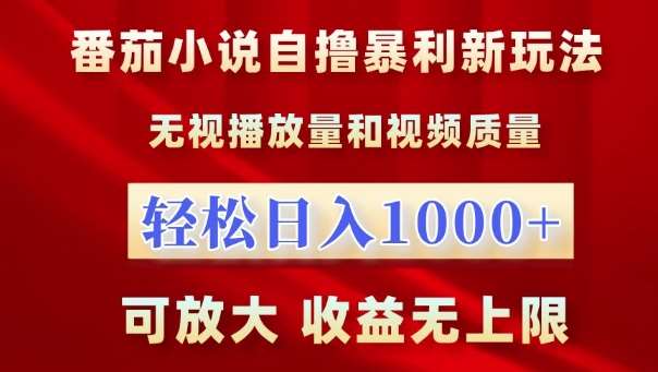 番茄小说自撸暴利新玩法，无视播放量，轻松日入1k，可放大，收益无上限【揭秘】-讯领网创