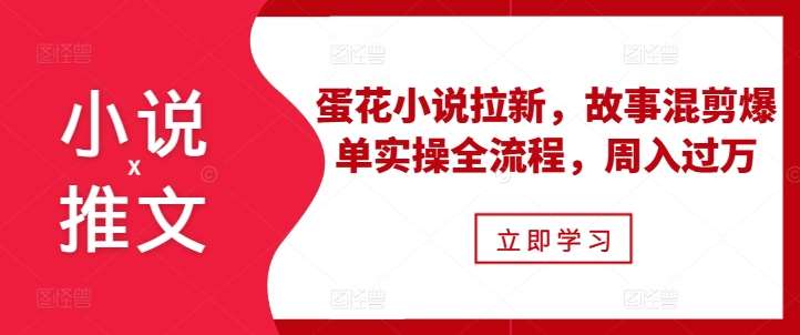 小说推文之蛋花小说拉新，故事混剪爆单实操全流程，周入过万-讯领网创