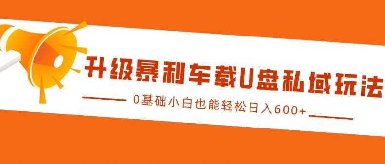 升级暴利车载U盘私域玩法，0基础小白也能轻松日入多张【揭秘】-讯领网创