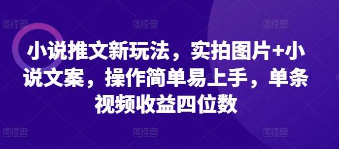 小说推文新玩法，实拍图片+小说文案，操作简单易上手，单条视频收益四位数-讯领网创