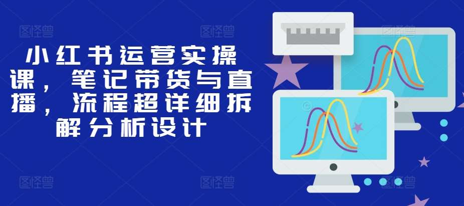 小红书运营实操课，笔记带货与直播，流程超详细拆解分析设计-讯领网创