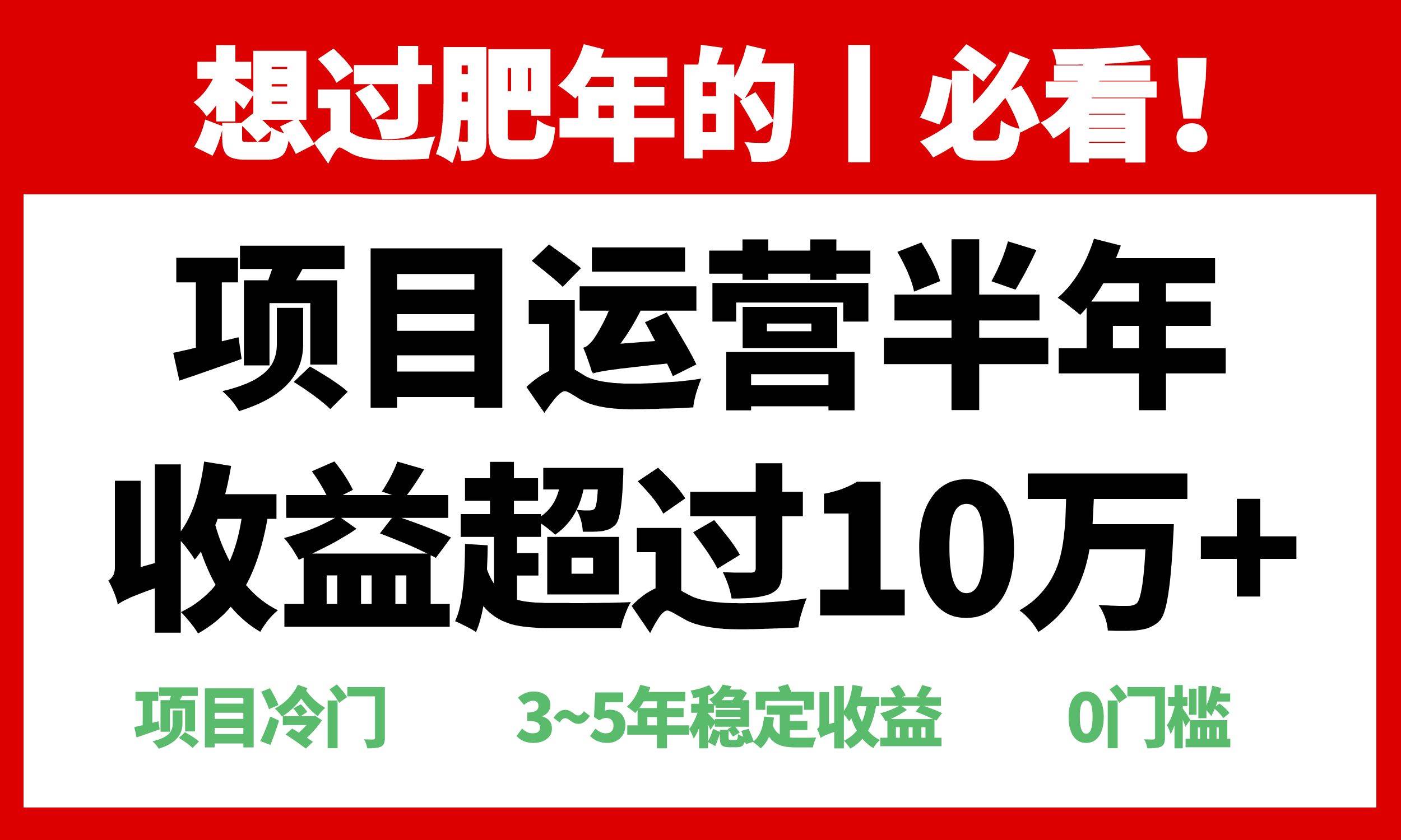 （13663期）年前过肥年的必看的超冷门项目，半年收益超过10万+，-讯领网创