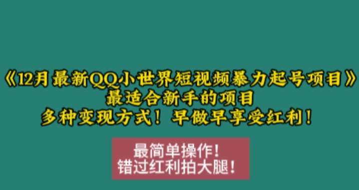 12月最新QQ小世界短视频暴力起号项目，最适合新手的项目，多种变现方式-讯领网创